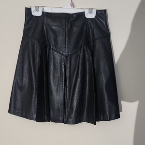Black Mini Fit and Flre Pleated Skirt